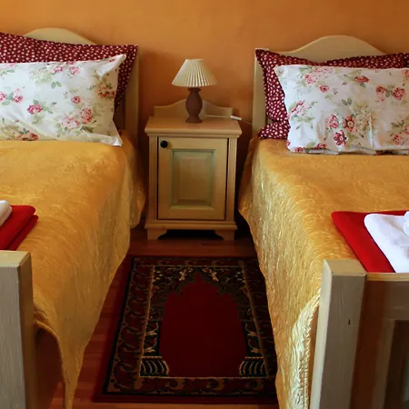 Hotel Vitranc Boutique 4*