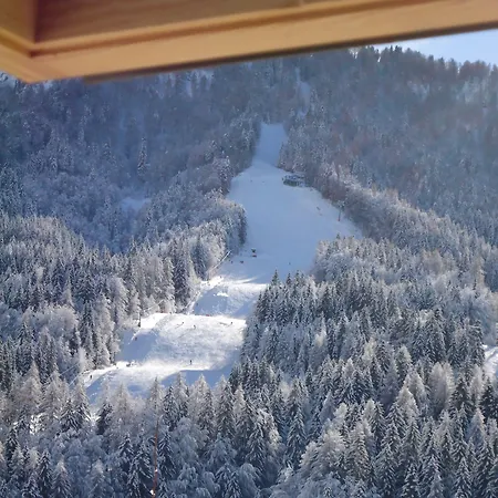 Vitranc Boutique Hotel 4*