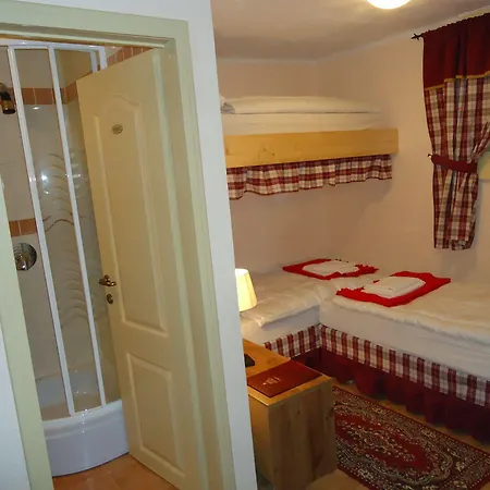 Hotel Vitranc 4*