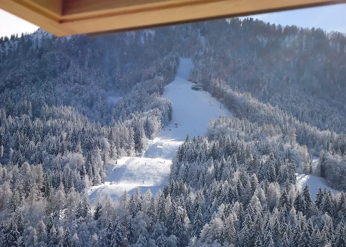 Vitranc Boutique Hotel 4*